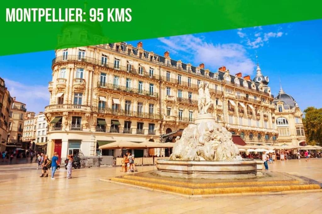 Aux Marches Du Palais - Ac Clim - Spacieux - Terrasse - Wifi Avignon Luaran gambar